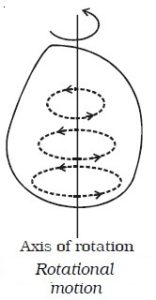 rotational motion of a rigid body experiment