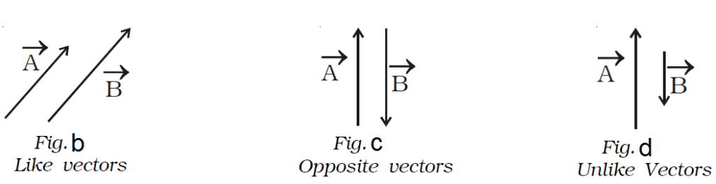 Scalar and vector quantities - Engineersfield